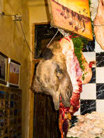 view--camel head Fez, Imperial City, Morocco, Africa