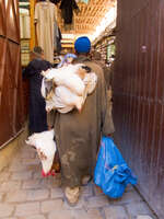 view--chicken man Fez, Imperial City, Morocco, Africa