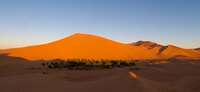 view--monring sand dune Merzouga, Sahara, Morocco, Africa