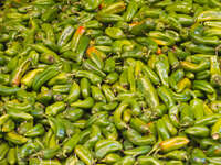 20101102164126_view--hot_moroccan_chili_peppers