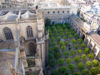 view--orange courtyard Cadiz, Seville, Andalucia, Spain, Europe