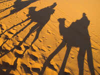 view--shadows of camel riders Merzouga, Sahara, Morocco, Africa