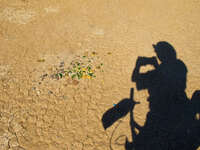 view--shadow of broken glasses Merzouga, Sahara, Morocco, Africa