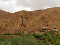 monkey fingers Ait Arbi, Dades Valley, Morocco, Africa