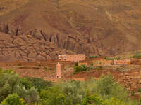 monkey toes Ait Arbi, Dades Valley, Morocco, Africa