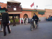 biker in marrakech Marrakech, Imperial City, Morocco, Africa