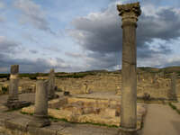 volubilis