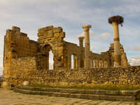 volubilis stork nest Meknes, Moulay Idriss, Imperial City, Morocco, Africa