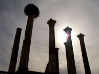 volubilis shadow Meknes, Moulay Idriss, Imperial City, Morocco, Africa