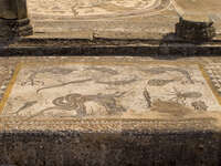 volubilis mural Meknes, Moulay Idriss, Imperial City, Morocco, Africa