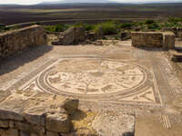 roman animal mural Meknes, Moulay Idriss, Imperial City, Morocco, Africa