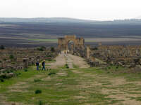 roman royal avenue Meknes, Moulay Idriss, Imperial City, Morocco, Africa