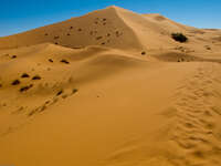 merzouga sand dune Merzouga, Sahara, Morocco, Africa