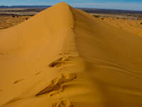 crossing ridge of sandune Merzouga, Sahara, Morocco, Africa
