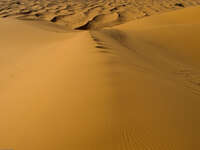 waves of dunes Merzouga, Sahara, Morocco, Africa