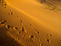 desert footprints Merzouga, Sahara, Morocco, Africa