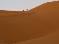 motobike on sand dune Merzouga, Sahara, Morocco, Africa