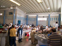 tangier fish market Tangier, Mediterranean, Morocco, Africa