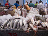 seafood market in tangier Tangier, Mediterranean, Morocco, Africa