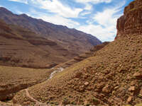 goat trail Tomboctou, Todra Gorge, Morocco, Africa