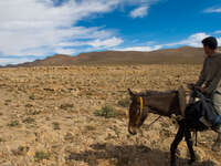 karim and donkey Tomboctou, Todra Gorge, Morocco, Africa