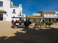 el rocio horse cart El Rocio, Seville, Andalucia, Spain, Europe