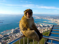 pepsi Tangier, Algeciras, Gibraltar, Mediterranean Coast, Cadiz, Morocco, Spain, Gibraltar, Africa, Europe