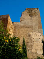 torre de homenaje Malaga, Andalucia, Spain, Europe