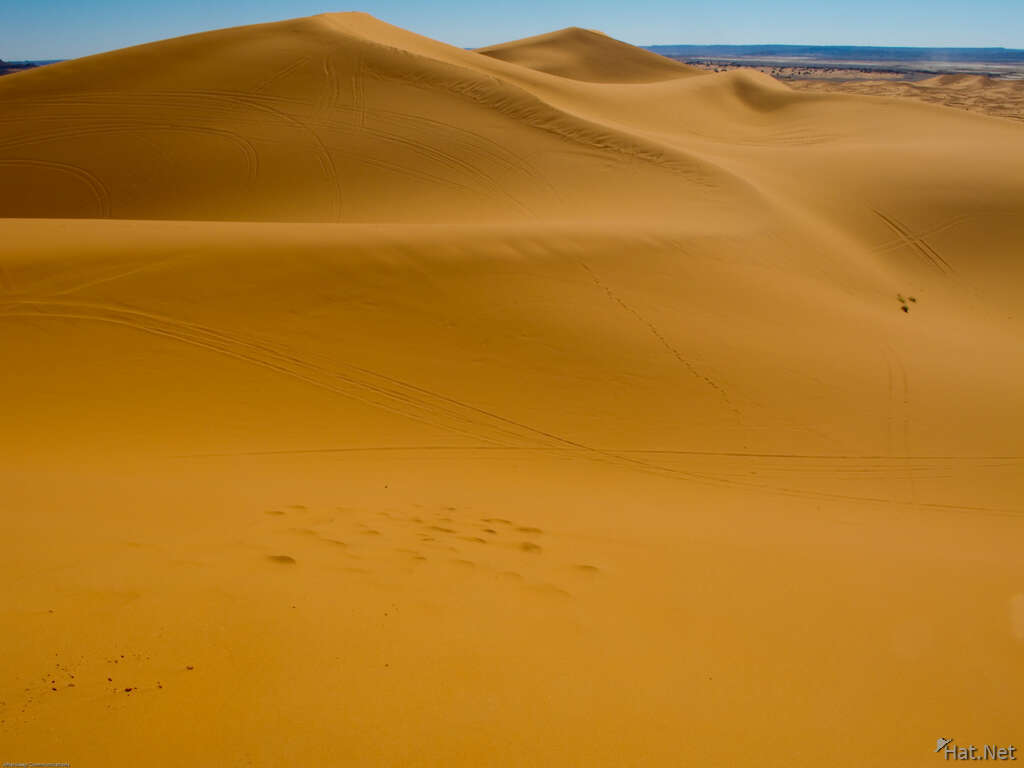 almost pristine sand dune