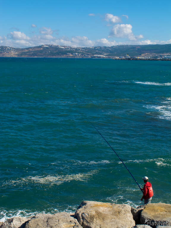 altantic coast fishing
