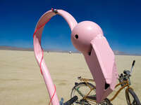 pink flamingo Black Rock City, Neveda, USA, North America
