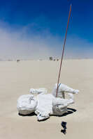 born Black Rock City, Neveda, USA, North America