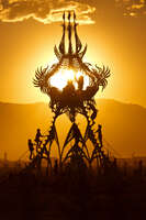Desert flower sunset Black Rock City, Neveda, USA, North America