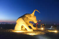 mad cow dance at night Black Rock City, Neveda, USA, North America