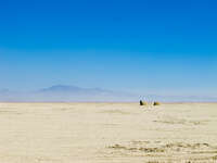 camping in desert Black Rock City, Neveda, USA, North America