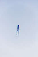 20120829132635_blue_octopus_kite