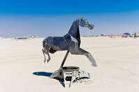 iron horse Black Rock City, Neveda, USA, North America