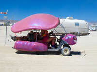 pink beetle Black Rock City, Neveda, USA, North America