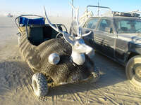 Deer Car Black Rock City, Neveda, USA, North America