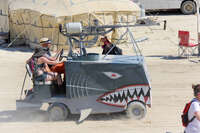 Shark Black Rock City, Neveda, USA, North America