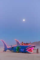 shark bar Black Rock City, Neveda, USA, North America