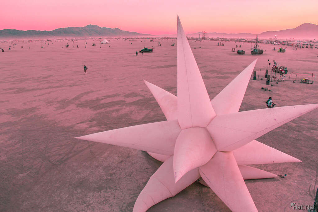 star of the desert